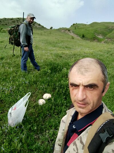 ,   Giorgi, 48 ,   ,   