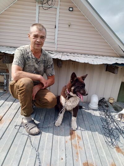  ,   , 56 ,   ,   , c 