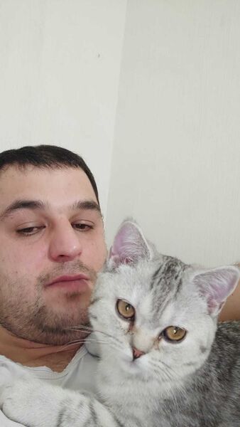 ,   , 31 ,   ,   