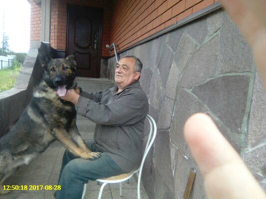  ,   , 76 ,   ,   , 