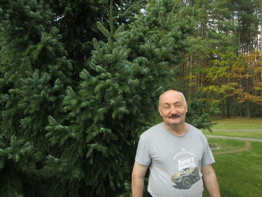  ,   , 61 ,   ,   , c , 