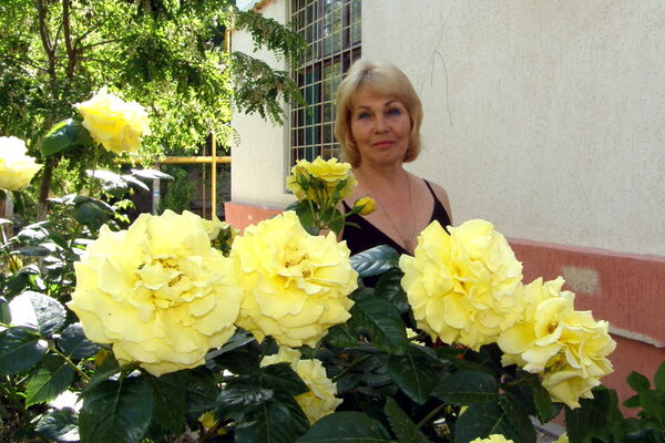  ,   , 70 ,   ,   , c 