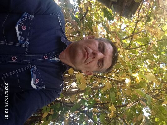  ,   , 39 ,     , c , 