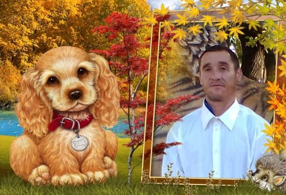  ,   , 41 ,   ,   , c , 