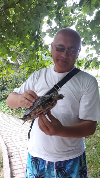  ,   , 52 ,   ,   , c 