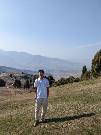  ,   Ali, 31 ,   ,   
