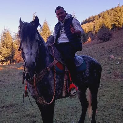  Algiers,   Joseph, 37 ,   ,   