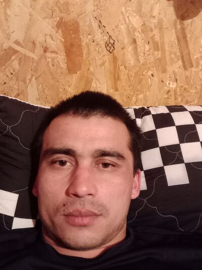  ,   Shurik, 31 ,   ,   
