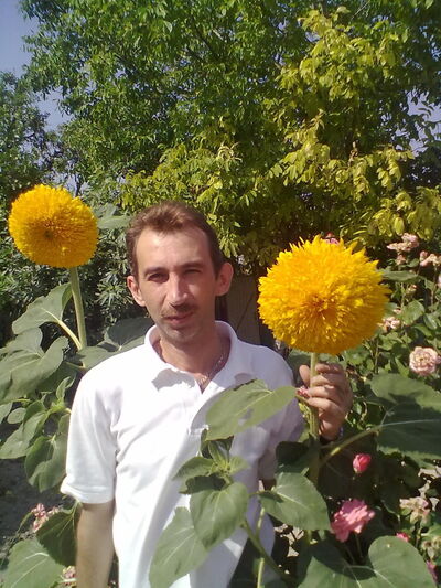  ,   , 50 ,   ,   , c 