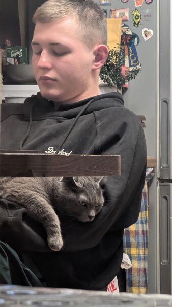  -,   , 22 ,   ,   