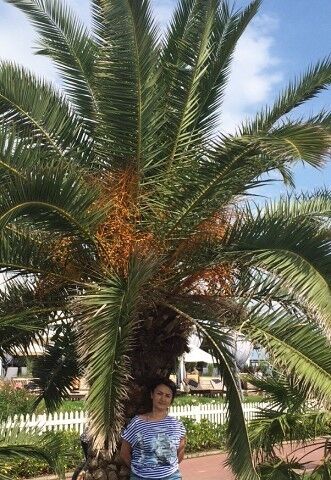  17248532  , 45 ,    -