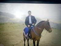  ,   Sanjar, 39 ,   ,   , c 