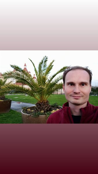  --,   , 31 ,   ,   