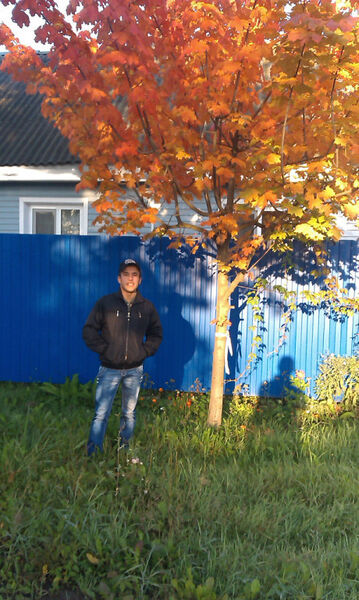  -,   , 41 ,   ,   , c 