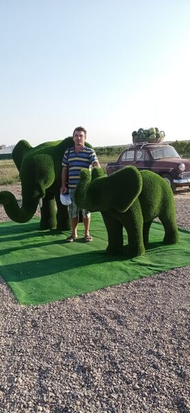  ,   , 56 ,   ,   , c 