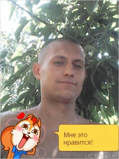 ,   , 33 ,   