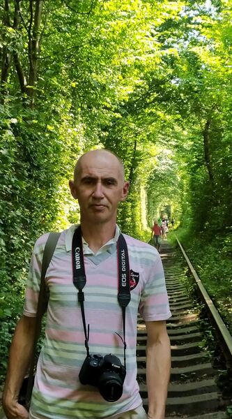  Alba Iulia,   , 44 ,   ,   