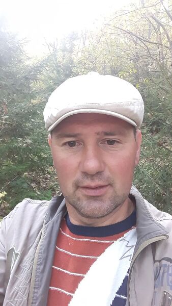   ,   , 43 ,  