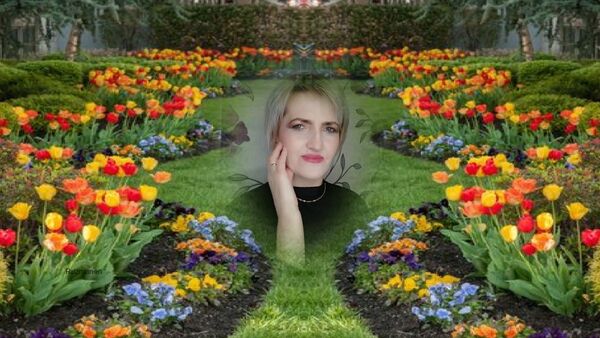  ,   , 62 ,   