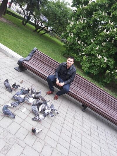  ,   Dik, 43 ,   