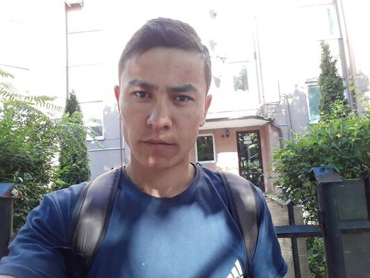  ,   , 33 ,   