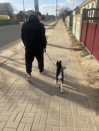  ,   MrShmidt, 29 ,   