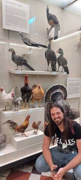  -,   , 40 ,   ,   