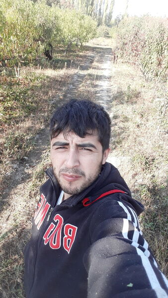  -,   , 31 ,   ,   , c 