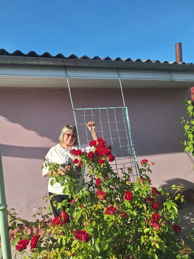  ,   , 55 ,     , c 
