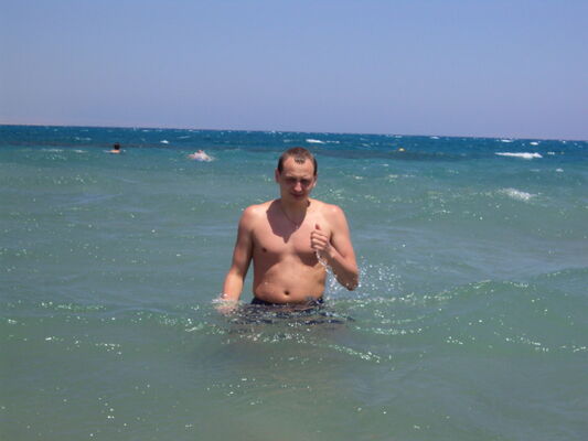  ,   Alexander, 41 ,     , c 