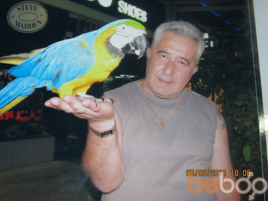  ,   Alik, 66 ,  