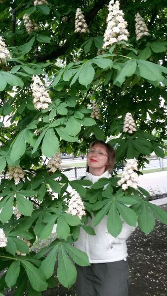  ,   , 53 ,   ,   , c 