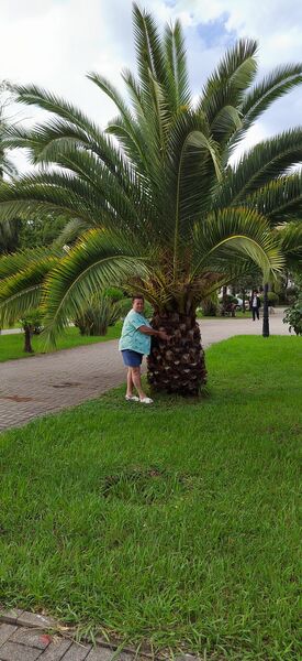  ,   Sparta, 36 ,   ,   