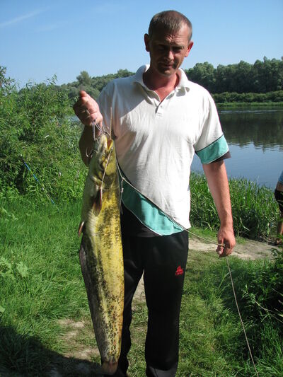  ,   , 51 ,   
