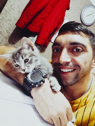  ,   Royal, 28 ,   ,   , c , 
