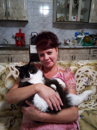  ,   , 53 ,   ,   , c 