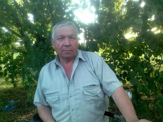  ,   , 76 ,   