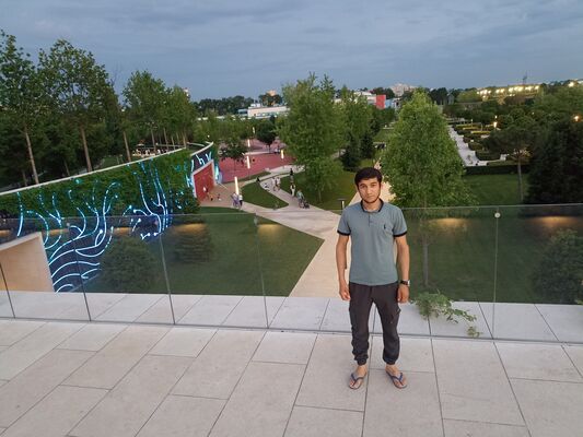  ,   Baha, 33 ,     , c 