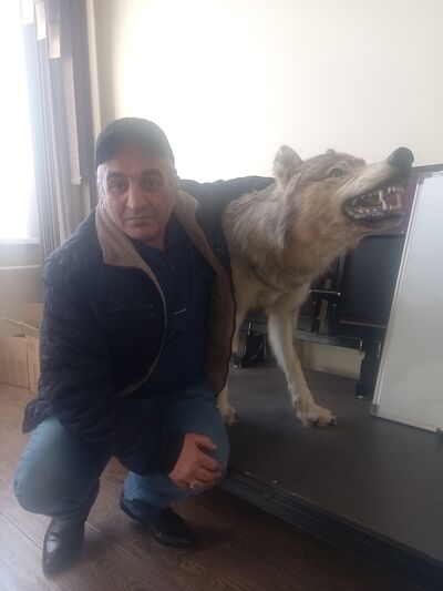  ,   , 49 ,   ,   