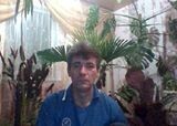  ,   , 55 ,  