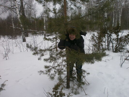  ,   , 63 ,   ,   , c , 