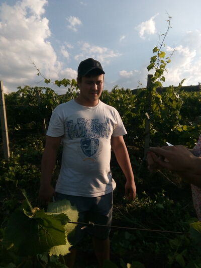  ,   Alexei, 40 ,   ,   , c 