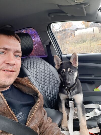  ,   , 41 ,   ,   , c , 