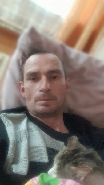  ,   , 46 ,   ,   , c , 