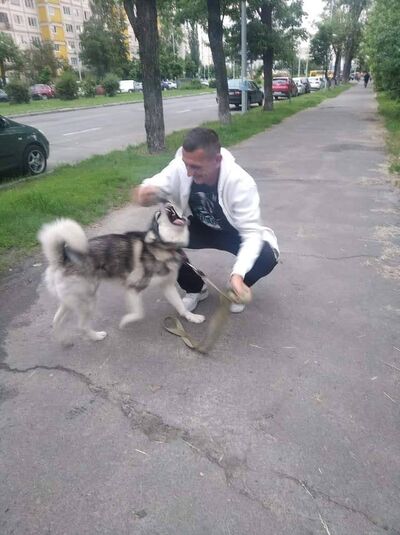  ,   , 41 ,   ,   , c 