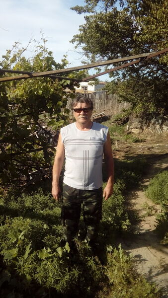  ,   , 65 ,   ,   , 