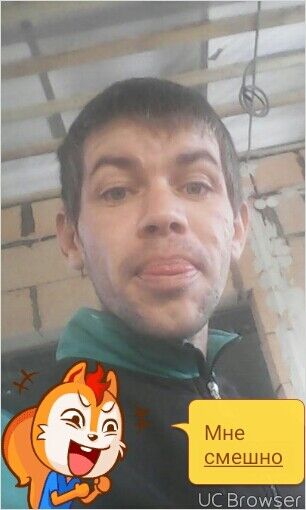  8137232  , 36 ,    