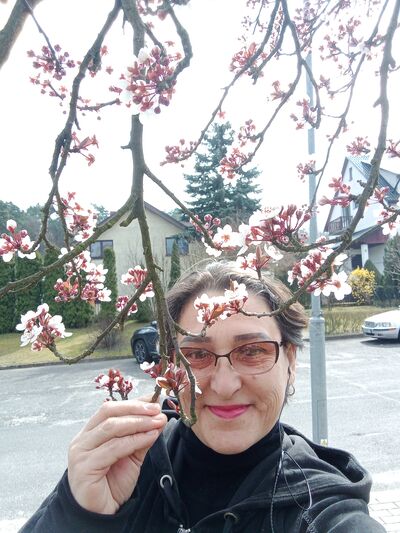  Jasien,   , 54 ,   c , 