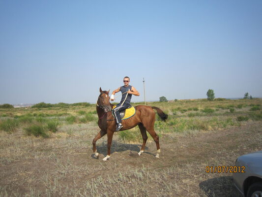 ,   Roman, 42 ,   