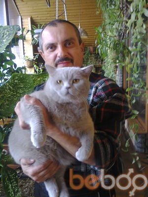  ,   , 58 ,   